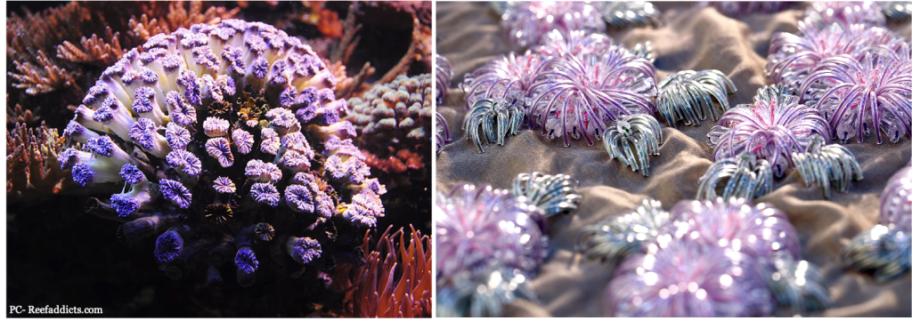 Innovative hand embroidery for couture wear. Hand embroidery in India