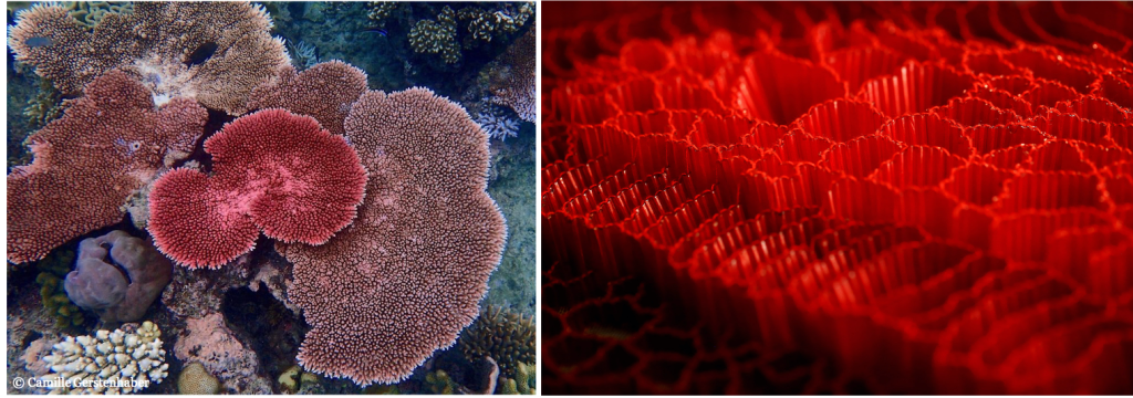 Beaded couture design with hand embroidered standing bugles. Innovative couture embroidery. Hand embroidery Mumbai.